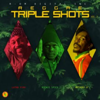Reggae_Triple_Shots__Vol__3